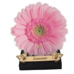 Plaque fun�raire originale et moderne gerbera