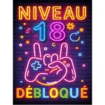 Plaque mtal anniversaire enfant garon fille 18 ans ? ?niveau 18 dbloqu? ? dco gamer effet non rtro ...