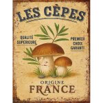 Plaque m�tal vintage - champignons de france - 15x20 cm - multicolore