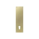 Contre - plaque pour porte palière duval - aluminium - borgne - finition champagne Contre - plaque pour porte palière duval - aluminium - borgne - finition champagne