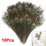 Plumes de paon naturelles 10 pi�ces pour maison bricolage d�corations artisanales de mariage vacances ...