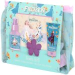 Pochette cheveux la reine des neiges + spray d�m�lant + pince