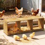 Pondoir pour poules 3 emplacements nichoir en bois - bingopaw - nichoir  poules - 105x30x36cm