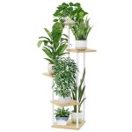Support plantes - bamworld - �tag�re � plantes � 5 niveaux - convient pour salon chambre balcon etc - ...