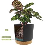 Pot de fleurs dint�rieur avec trou de drainage et base amovible coupelle d�corative moderne pour jardini�res ...