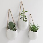 Pots de fleurs muraux - pots de fleurs suspendus en cramique 3 pices dcoration murale pour intrieur(brilla ...