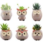 Pots pour succulentes en c�ramique motif hibou - pack de 6 drainages multicolore