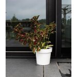 Pot � r�serve deau - garden id glamour - blanc 40 cm - surface granuleuse - int�rieur / ext�rieur - design ...