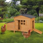 Idmarket poulailler sur pilotis avec pondoir en bois