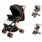 Poussette canne - poussette polyvalente - avec tapis en coton et moustiquaire - pour de la naissance ...