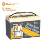 Power queen batterie lithium 12v100ah lifepo4 bluetooth pour moteur hors - bord lectrique groupe 31 ...