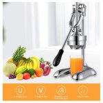 Presse - agrumes  levier