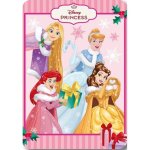 Princesses disney - plaid - couverture polaire 100x140 cm.