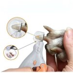 Ciseaux pour coupe - ongles - professionnel - chien - led - acier inoxydable - anti - claboussures