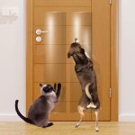 Protection anti - rayures pour porte prot�gez votre porte vos meubles et vos murs avec une protection ...