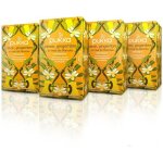 Pukka infusion bio trois gingembres infusion biologique et ayurvdique issue du commerce quitable lot ...