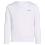 Pull calvin klein poitrine inst. logo rgulier du cn