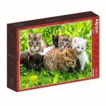 Puzzle - alipson puzzle - alipson groupe de chatons - 1000 pi�ces - th�me chatons - mat�riau r�sistant ...