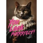 Puzzle 1000 pi�ces �you look purrrfect !� ? 48 x 68 cm d�s 12 ans