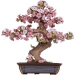 Puzzle 3d en bois bonsa� kit de mod�le en pin � construire soi - m�me pour adultes cr�ez votre propre ...