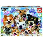 Puzzle animaux - educa - 17983 - 500 pièces - fun in the sun selfie Puzzle animaux - educa - 17983 - 500 pièces - fun in the sun selfie
