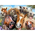 Puzzle en bois 500 pièces autour du cheval Puzzle en bois 500 pièces autour du cheval