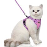 Rabbitgoo harnais chat laisse pour chat harnais pour petit chien souple et rglable veste bandes rflchissant ...