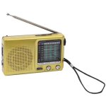 Radio portable fm / am / sw puce dsp style r�tro or