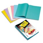Sous - chemises rainex - paquet de 100 - papier 60g - 22x31cm - assortis 5 coloris