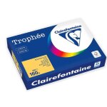 Ramette de papier - a4 - bouton dor - 160g - impression - 250 feuilles - clairefontaine trophée Ramette de papier - a4 - bouton dor - 160g - impression - 250 feuilles - clairefontaine trophée