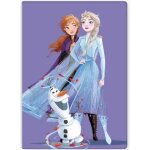 Couverture polaire - reine des neiges - disney - 100x140 cm - 100% polyester - lavable � 40�c