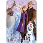 Reine des neiges - frozen - disney - plaid - couverture polaire 100x140 cm.
