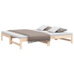 Remiselit 2 personnes lit coulissant 2 x (75 x 190) cm bois de pin massif jilimaison2025 76743819
