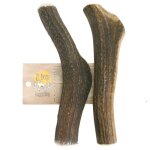 B�tonnets � m�cher pour chien - bois de cerf �laphe l (lot de 2) - 100% naturel - longue dur�e - hypoallerg�ni ...