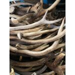 Rf - deer bois de cerf naturel 1 kg (diffrents 10 - 20 cm 7 - 12 pices) - lments de dcoration art ...
