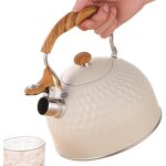 risingff bouilloire lectrique sifflante de 25 l adapte aux cuisinires lectriques adapte  la maison ...