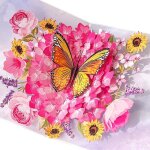 risingff carte papillon pour femme carte pop - up danniversaire et de mariage cartes danniversaire 3d ...