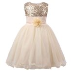 Robe jerrisapparel petite fille paillette fete fleur robe de ceremonie bal banquet tulle