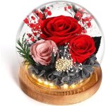 Rose eternelle fleur eternel - rouge cadeau coffret boite anniversaire femme saint valentin fête des ... Rose eternelle fleur eternel - rouge cadeau coffret boite anniversaire femme saint valentin fête des ...