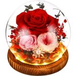 Rose eternelle fleur eternel rose eternelle sous cloche pour femme maman noel saint valentin fete anniversaire ...