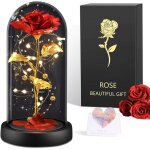 Rose �ternelle rouge sous cloche - th�me la belle et la b�te avec led - cadeau femme : saint valentin ...
