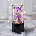 Rose �ternelle - th�me gypsophile - design la belle et la b�te - avec lumi�res led et musique - cadeau ...
