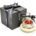 Rose immortelle - naturelle �ternelle - rouge - cloche en verre - socle en bois