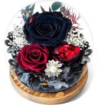 Rose noire �ternelle sous cloche lumineuse - fleurs pr�serv�es dans �crin cadeau - id�e cadeau pour femme ...