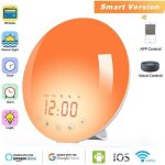 Rveil lumineux simulateur daube et crpuscule 7 color lights radio fm double alarme fonction snooze veilleuse ...