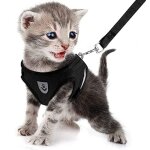 Sangle pour chien et chat en cuir pour la marche gilet de traction respirant style gilet (noir)
