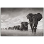 Savane africaine lphant mur art photo animal affiche impression toile peinture moderne salon dcoration ...