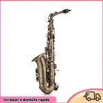 Saxophone alto pour �tudiants d�butants kit complet instrument � vent en bois dor� saxophone alto en ...