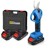 Scateur lectrique gisam moteur sans balais 30mm rechargeable avec 2 batteries prise eu
