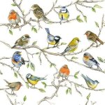 Serviettes de table - ambiente - paquet de 20 - 3 plis - 33x33cm - en papier de soie - jetable - motif ...